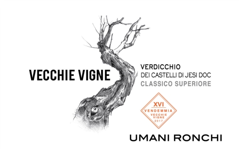 Umani Ronchi Vecchie Vigne Verdicchio dei Castelli di Jesi DOC Classico Superiore