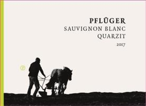 Pflüger Sauvignon Blanc 'Vom Quarzit'