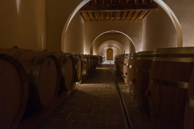 Cellar