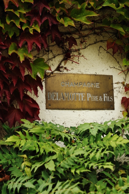 Delamotte Sign2