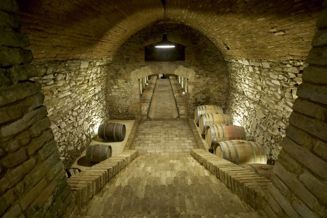 Cellar1