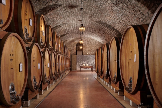 Cellar